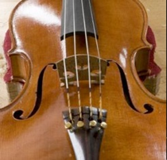 Larry-violin