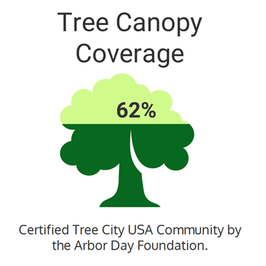 Graph showing 62% tree canopy coverage