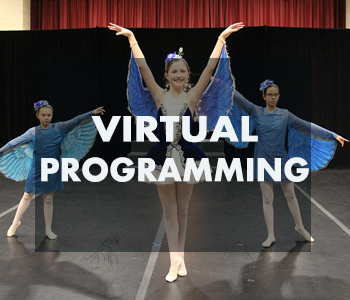 virtual programming