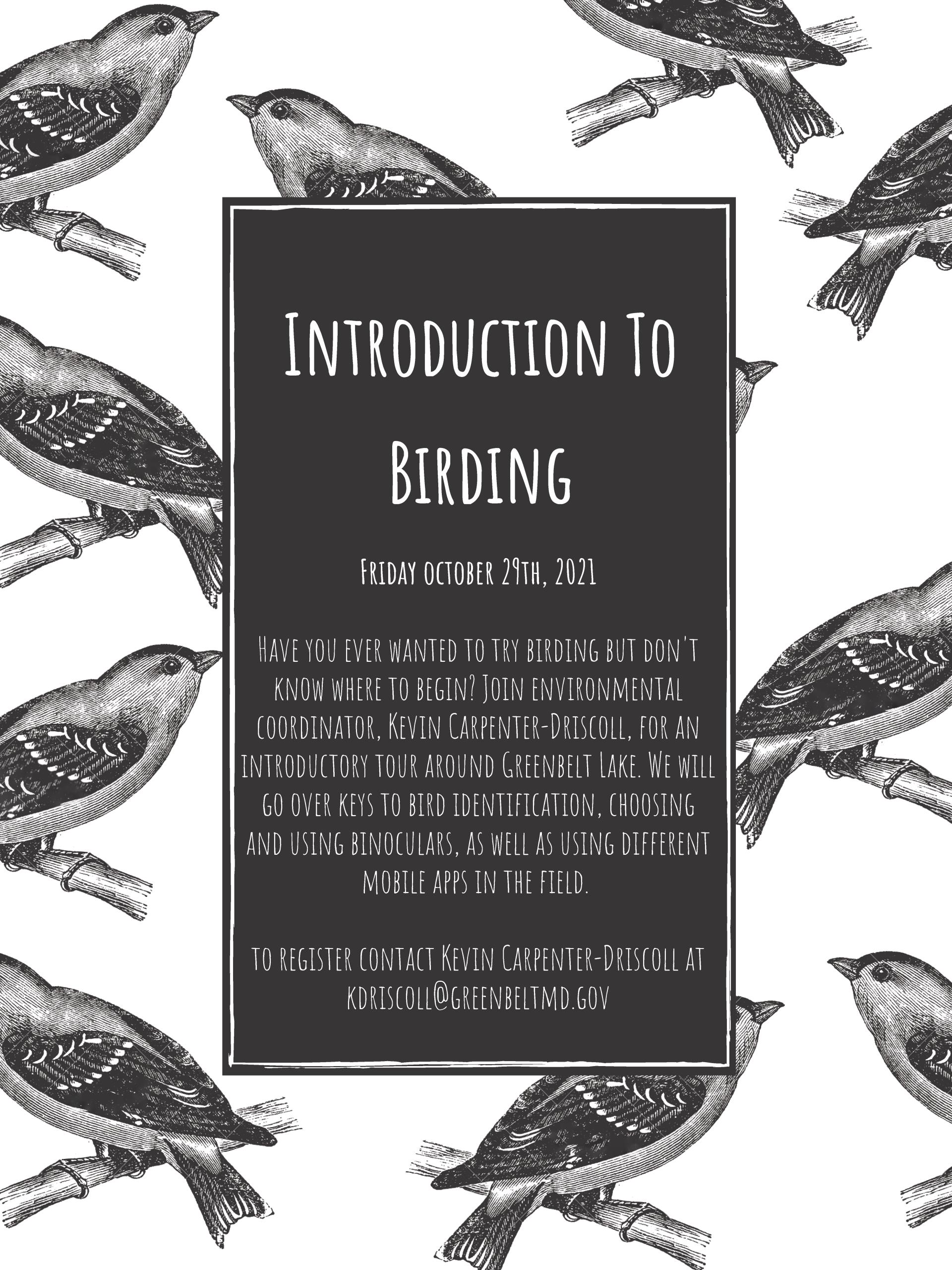 Introduction To Birding