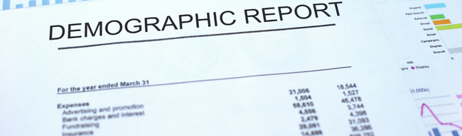 Demographic Information  Economic Development 