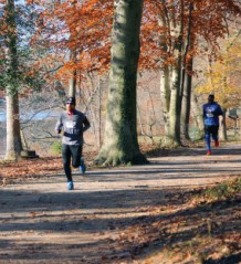 Buddy Attick Park Image