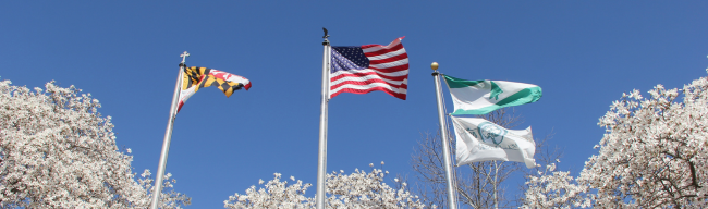 City of Greenbelt Flags