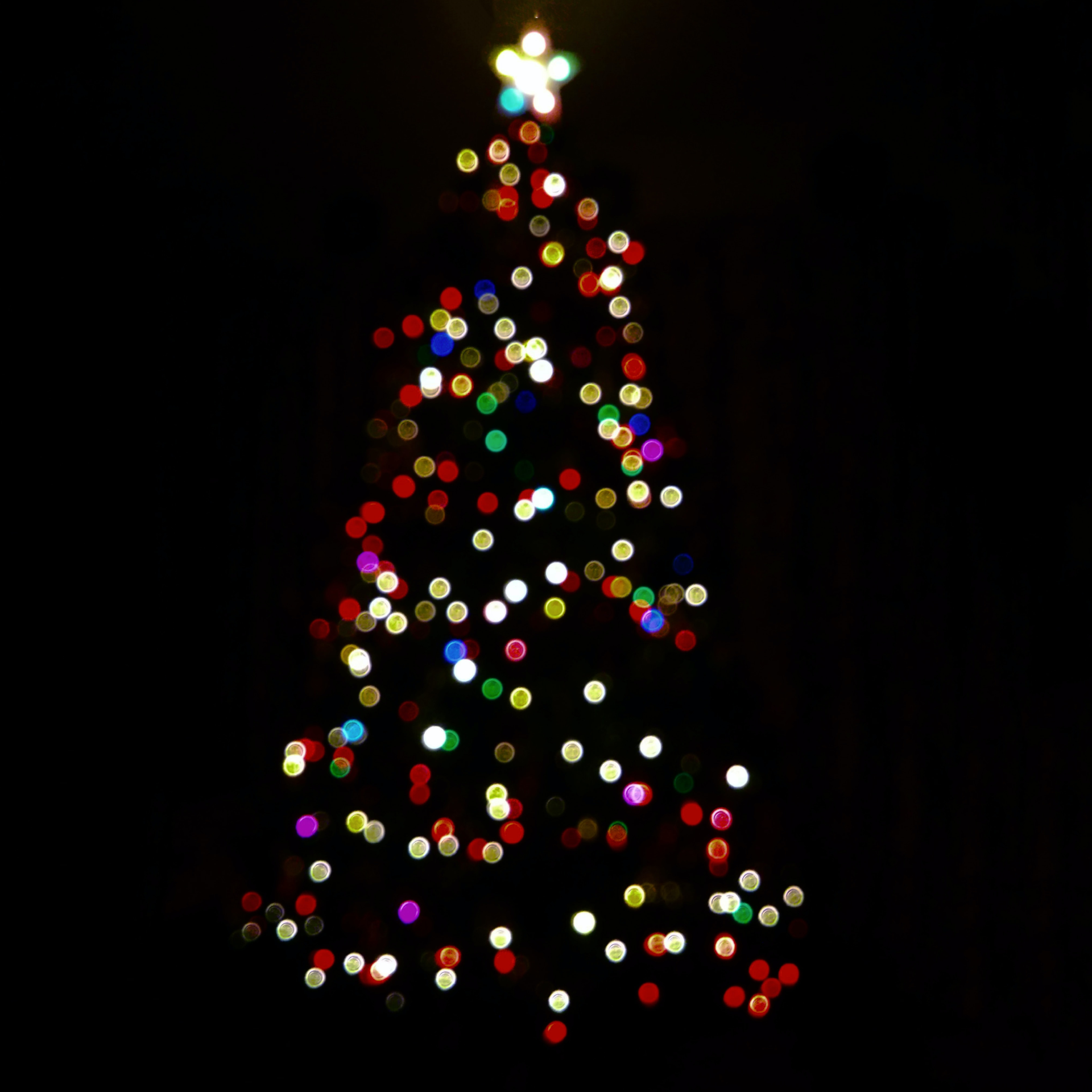 holiday tree