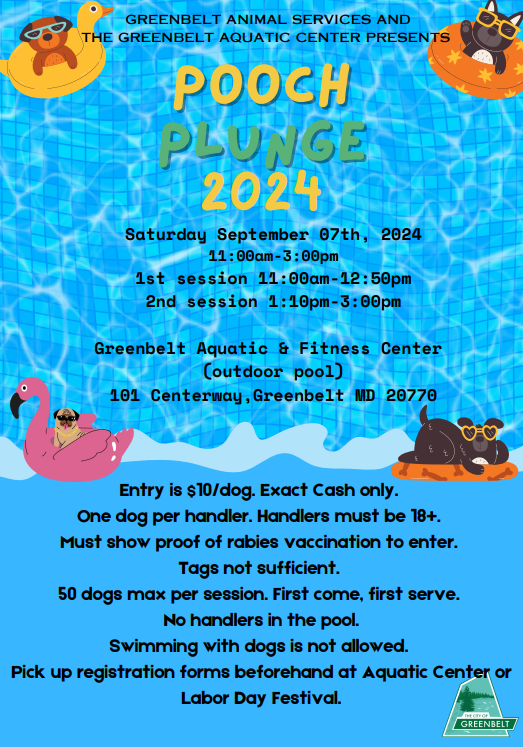 Pooch Plunge 9.2024