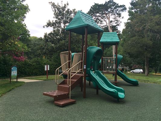 Jungle gym with slides